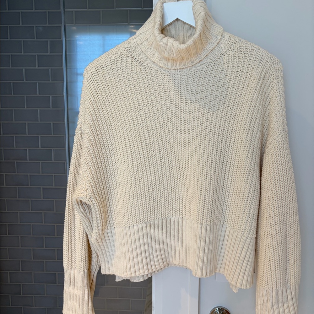 Madewell Chunky Cotton Knit Turtleneck